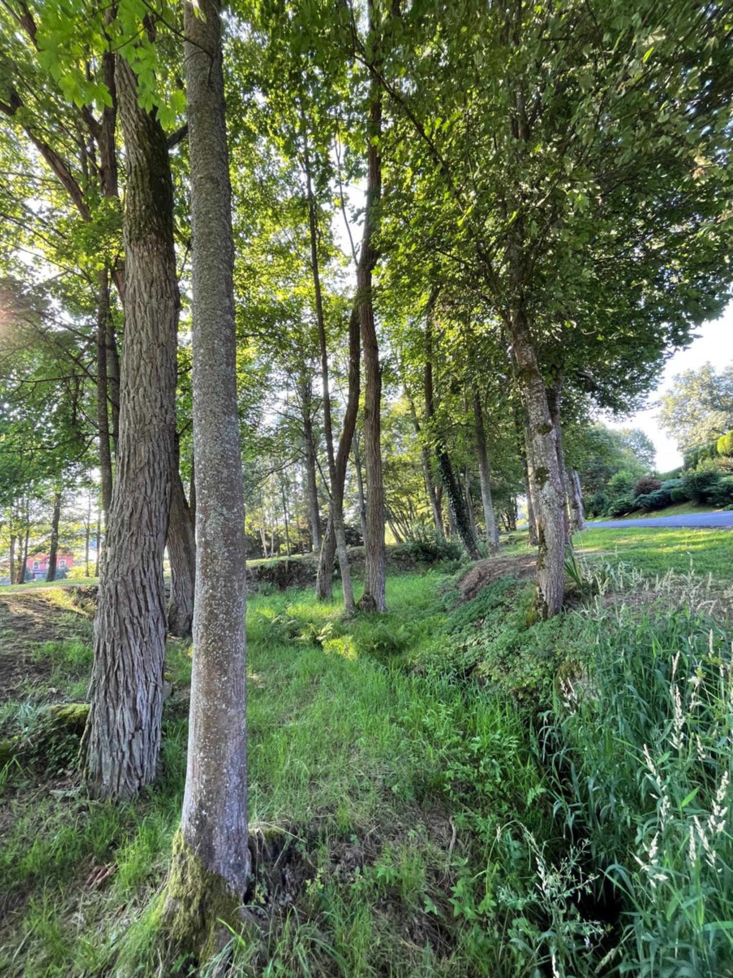 Apartman Pisarovka Lesna  Kültér fotó